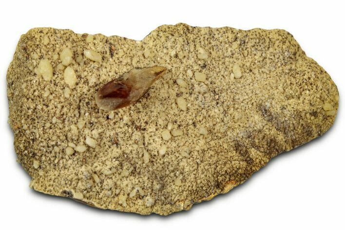 Honey Colored Barite Crystal on Fluorescent Calcite - Elk Creek #330371